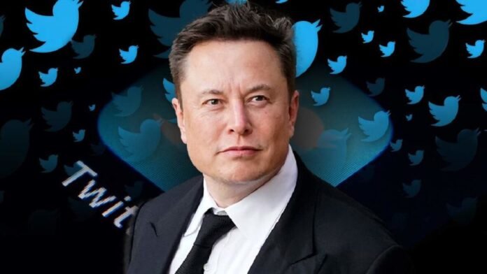 You don't need a degree to be successful: Elon Musk