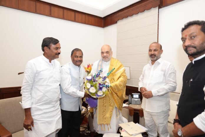 Amit Shah advises newly elected BJP MLCs..