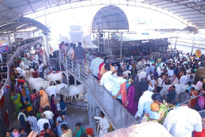 Devotees from all over the state.