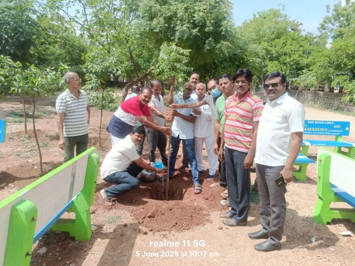 Locals planted saplings in Rock Town Colony Gym Park..