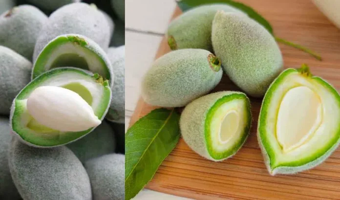 Protects the skin and hair..